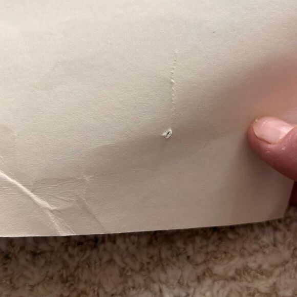 Vintage Bicknell Framed Decorative Signed Limited Run Print Crochet 17/200 - Picture 9 of 13